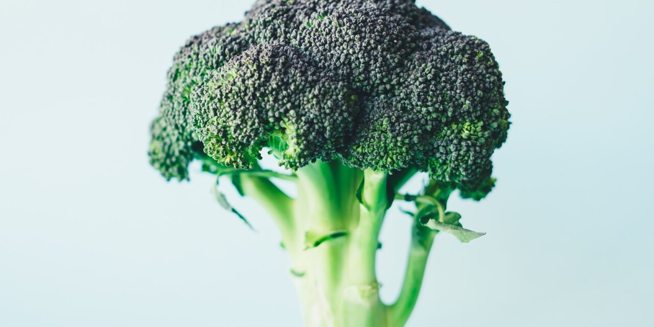 Brócoli: 5 Beneficios para tu salud.