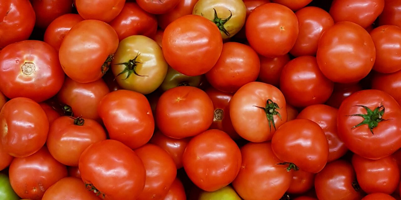 Propiedades del tomate para tu salud: conoce las 8 más beneficiosas