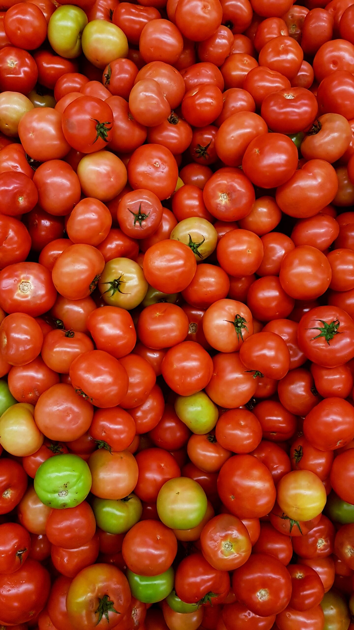 Propiedades del tomate para tu salud: conoce las 8 más beneficiosas